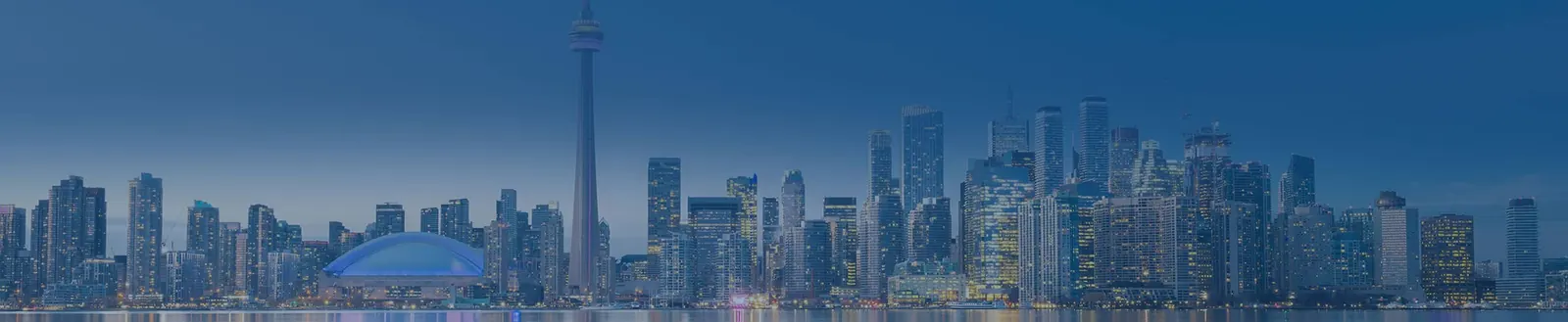 Mississauga Realtor