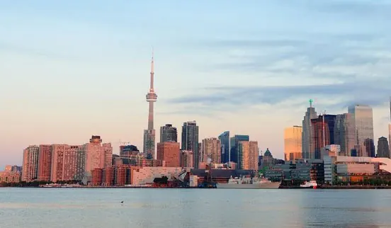 North York Realtor
